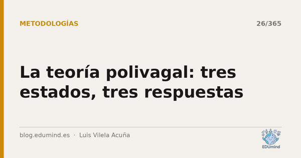 La teoría polivagal: tres estados, tres respuestas